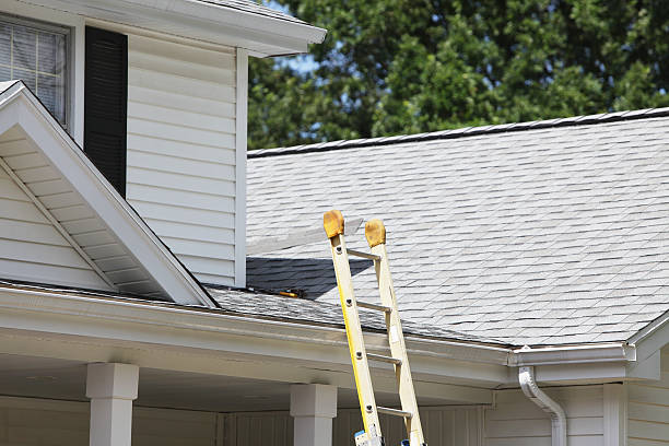 Affordable Siding Repair and Maintenance Services in Woodlake, VA